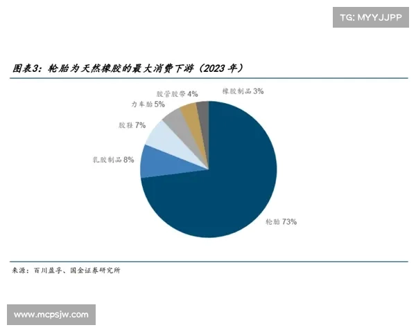 奥利塞成功之路的五个关键因素解析与深度剖析